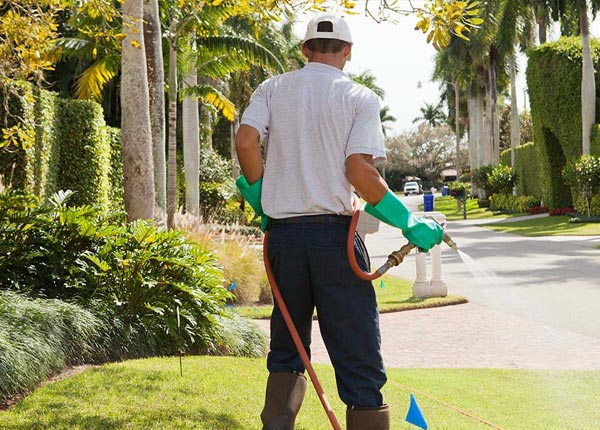 About Upper Sandusky OH Pest Control Pros
